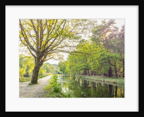 Canal on a spring day by Assaf Frank
